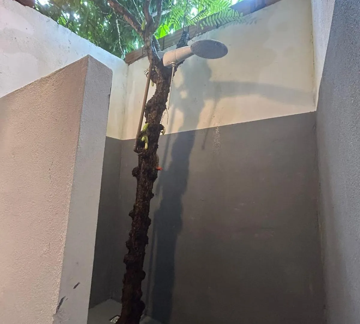 Casa Floresta Satu Porto Seguro Holiday home
